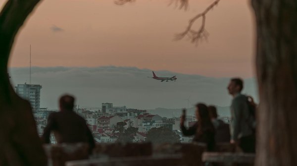 Comment organiser un voyage en train panoramique à travers l'Alaska pour observer la faune locale?