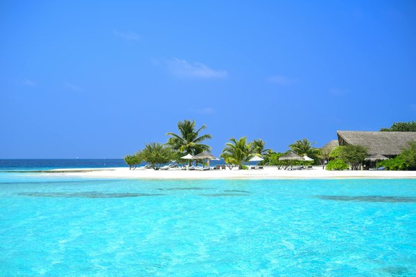 Où découvrir les traditions de la pêche à la morue en Islande : techniques et excursions guidées ?